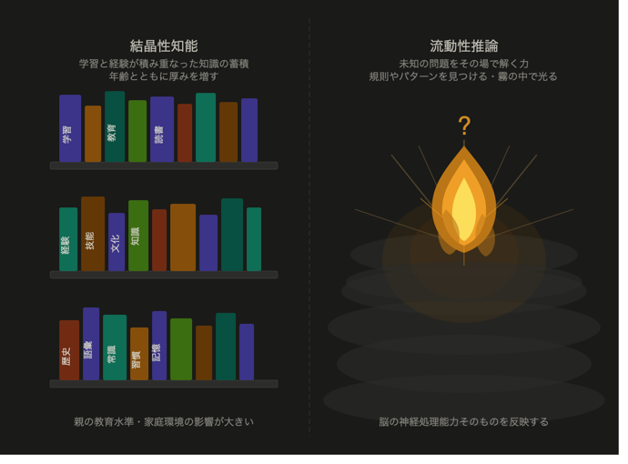 結晶性知能と流動性推論の比喩図