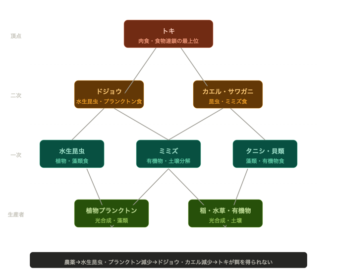 トキを頂点とする食物連鎖の図